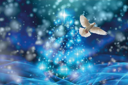 AD050-ChristmasLights.jpg