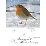 Red Red Robin