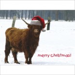 Highland Christmas