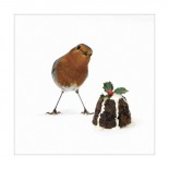 Little Robin & Pudding