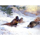 The First Fall of Winter