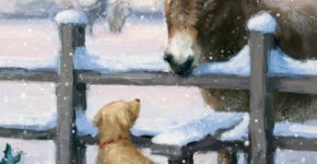 Winter Visitor