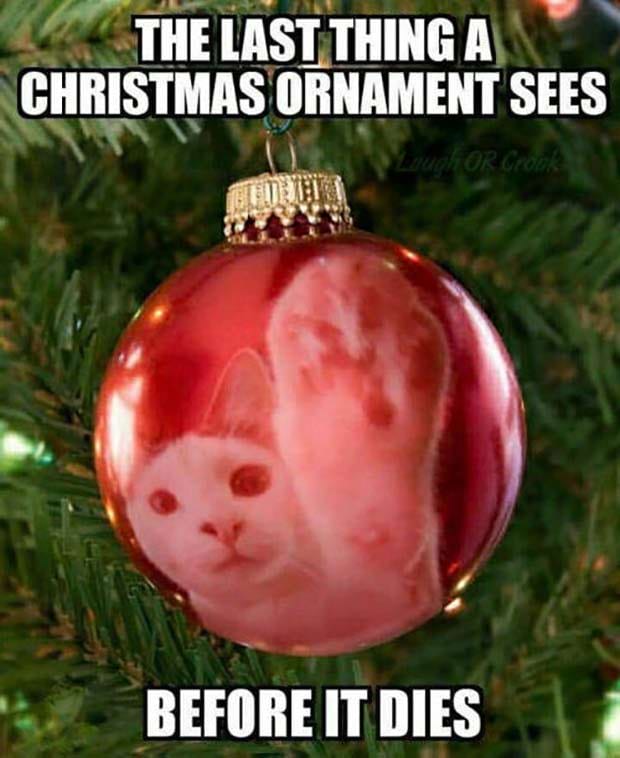 45 Hilarious Christmas Memes That Will Have You in Stitches ...